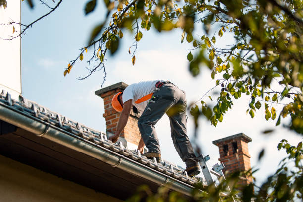 Best Storm Damage Roof Repair  in Edgewater, MD